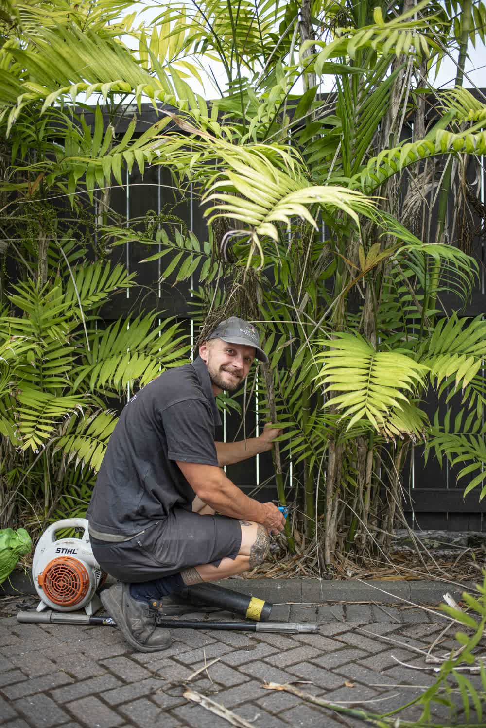 Team member trimming back bamboo